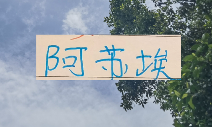 开云-还差一个外援！到时候是阿苏埃出现 还是申花新的大鱼上岸？|上海申花|阿莱士-特谢拉-桑托斯|上海申花足球俱乐部|托尼·罗伯茨|马纳法_新浪体育_新浪新闻