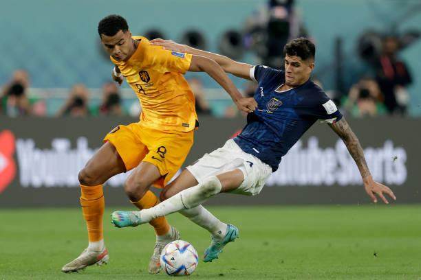 1669414454382078449.jpg 开云官网-王勤伯:范加尔看得更远,但他只能靠成绩说话