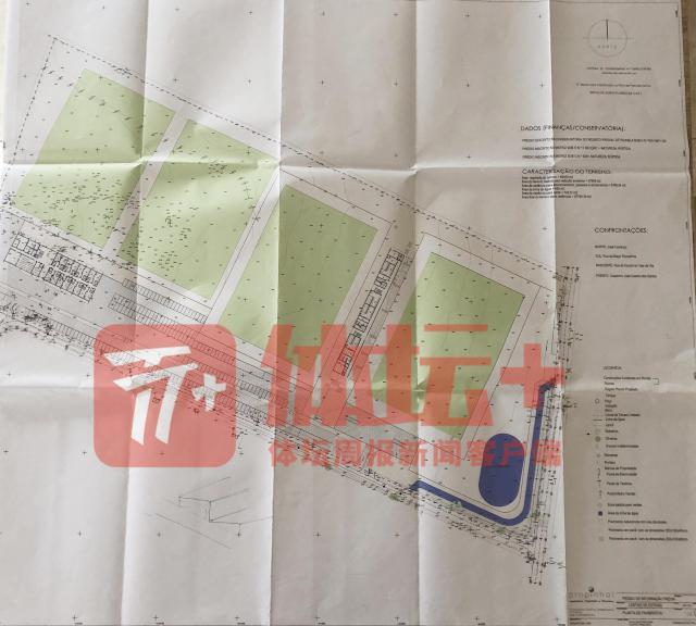 开云APP-【深度】探访东方龙 原来欧洲俱乐部是这样搞的！